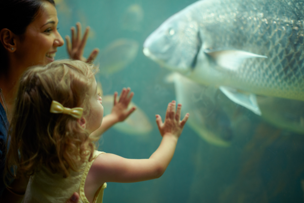O diálogo que ajuda no futuro da aquicultura e pesca no Brasil